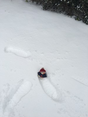 180301-02 Footprints.jpg